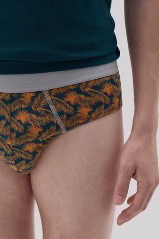 5 slips en coton biologique - Vert foncé et blanc