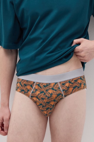 5 slips en coton biologique - Vert foncé et blanc