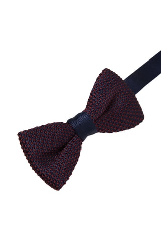 Pajarita - Berenjena