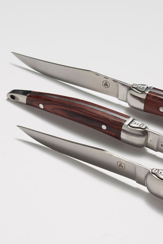 6 Palissanderhouten en Roestvrijstalen Vleesmessen