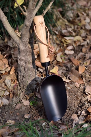 Essenhouten Tuinschepje