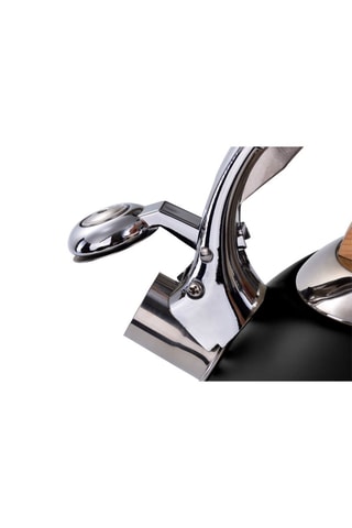 Bouilloire sifflante en acier inoxydable - 3 l