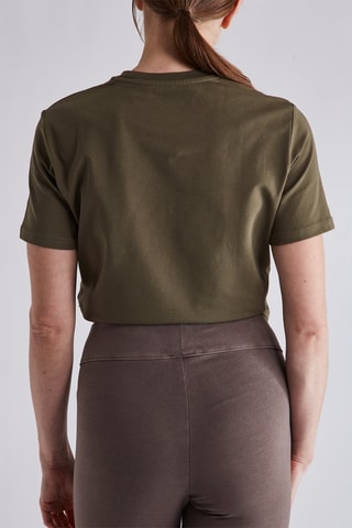 Crop top - Kaki - Dickies