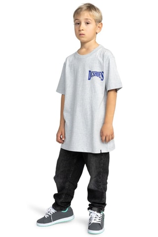 T-shirt - Gris - DC Shoes