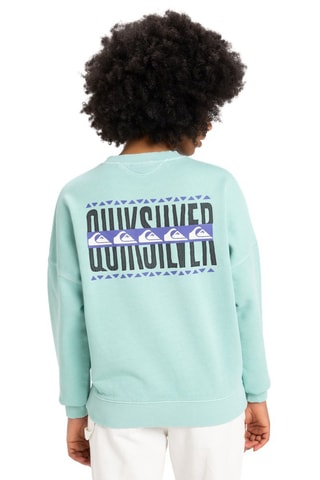 Sweat en coton biologique - Ciel - Quiksilver