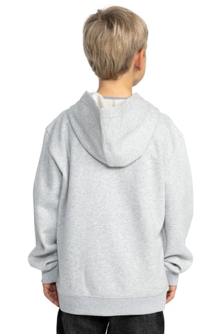 Sweat à capuche - Gris clair chiné - DC Shoes