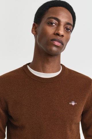 Camisola regular em lã de cordeiro - Castanho