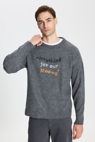 Camisola regular - Cinzento