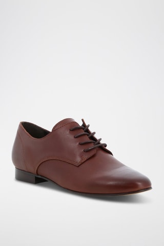 Derbys en cuir Ninito - Marron