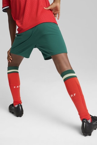 Short de football Fédération portugaise de football  - Vert