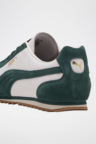 Baskets en cuir Arizona Retro   - Blanc et vert