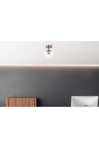 Plafondlamp Goudkleurig en Transparant