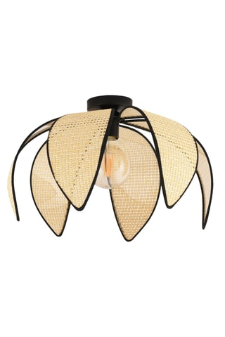 Suspension - 40 W - Camel