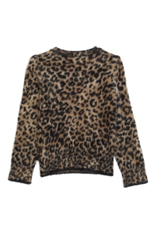 Pull Leo - Marron