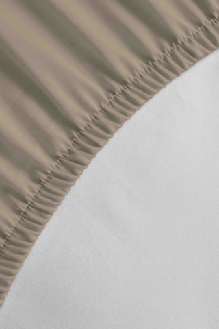 2 sábanas bajeras de algodón 57 hilos/cm² - Beige oscuro