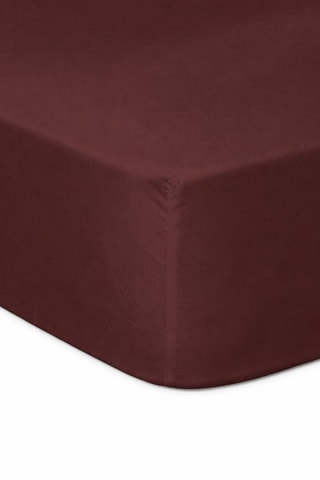 2 sábanas bajeras de algodón - 57 hilos/cm² - Chocolate