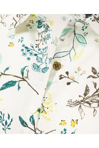 Camisa regular fit Absinthe - Crudo y verde 