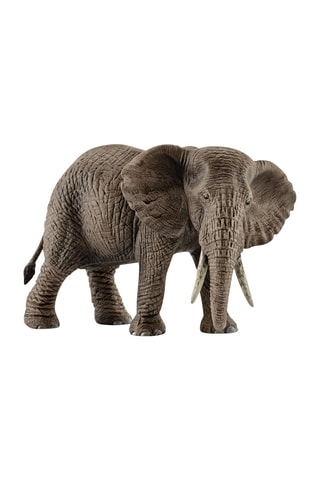 2 elefantes africanos hembra Wild Life Desde 3 años