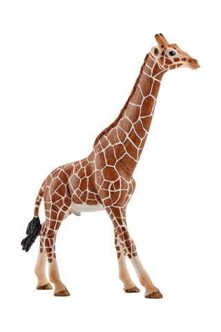 Jirafa macho Wild Life Desde 3 años