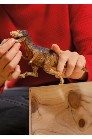 Moros intrepidus Dinosaurs - Desde 5 años