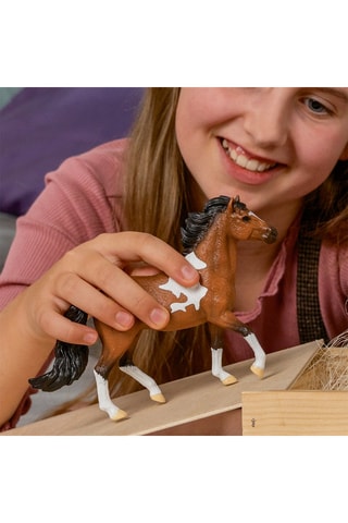 Semental Mangalarga Marchador Horse Club - Desde 5 años