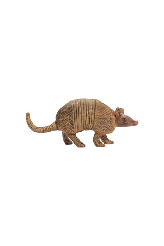 Armadillo Wild Life - Desde 3 años