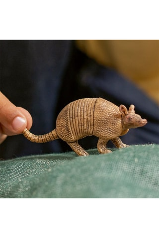 Armadillo Wild Life - Desde 3 años