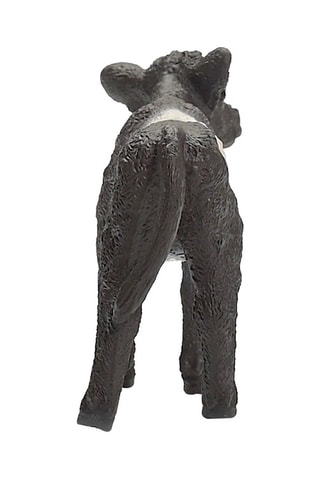 Ternero Galloway Farm World - Desde 3 años