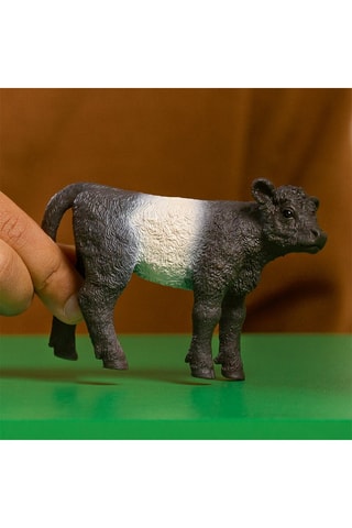 Ternero Galloway Farm World - Desde 3 años