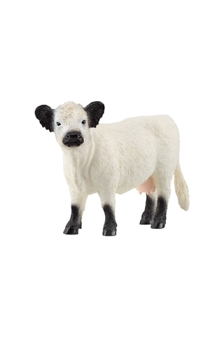 Vaca Galloway - Desde 3 años