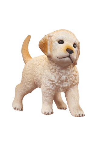 Caseta de perro con golden retriever - Desde 3 años