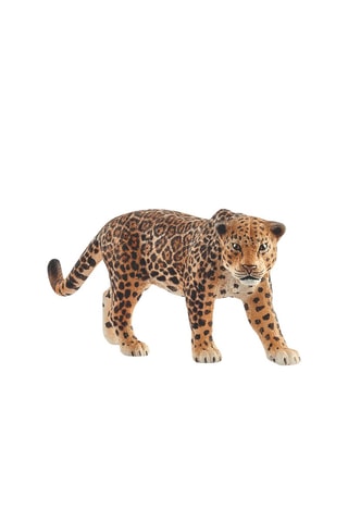 Jaguar - Desde 3 años