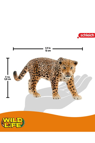 Jaguar - Desde 3 años