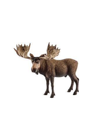 Alce macho Wild Life - Desde 3 años