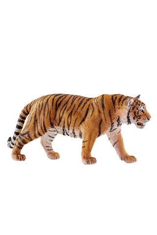 Tigre de Bengala macho Wild Life Desde 3 años