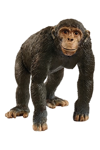 Figura Chimpancé - Desde 3 años