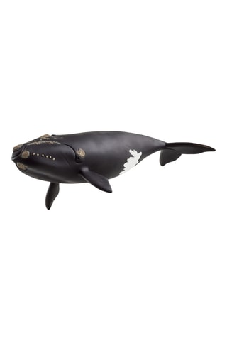 Figura Ballena del Atlántico - Desde 3 años