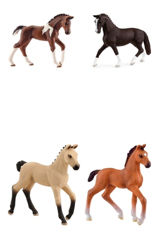 Mis primeros potros y yeguas - Kit de aprendizaje