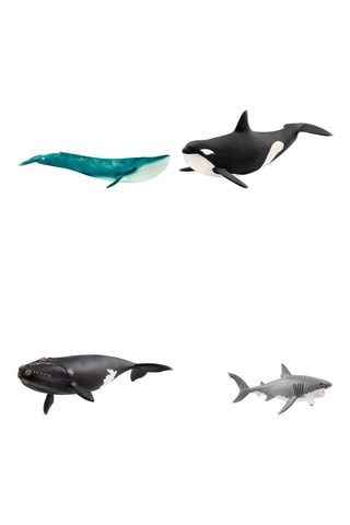 Mis animales marinos - Kit de aprendizaje