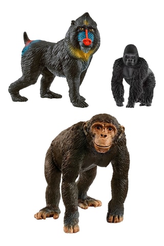 Mis primeros monos - Kit de aprendizaje