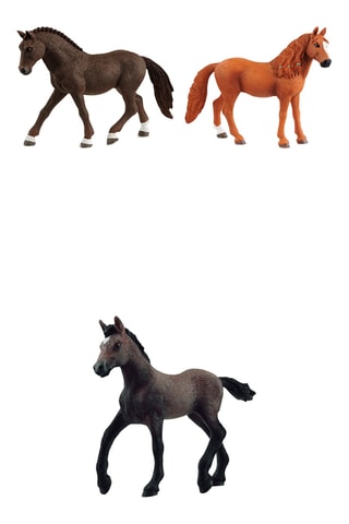 Mis primeros caballos - Kit de aprendizaje