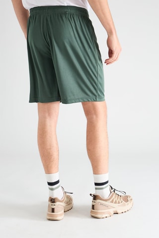 Bermuda - Verde scuro