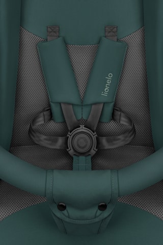 Buggy - 6 t/m 36 maanden - T/m 15 kg