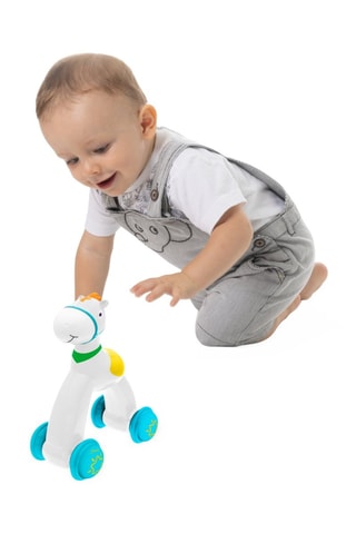 Cavallo Push and Go - Da 12 mesi