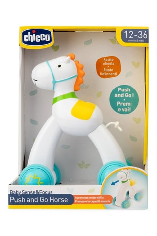 Cavallo Push and Go - Da 12 mesi