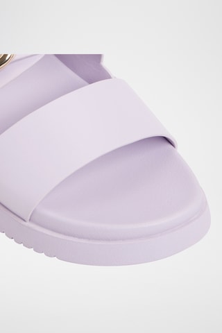 Muiltjes Daisymae - Lavendelpaars