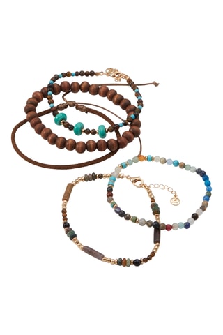 5 Armbanden Elardosien - Bruin