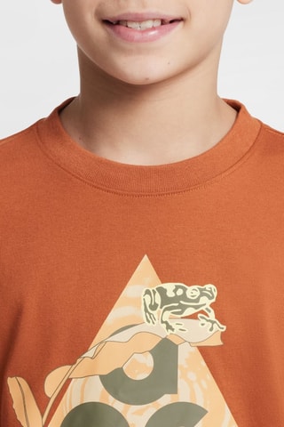 T-shirt Nike AGG - Marron