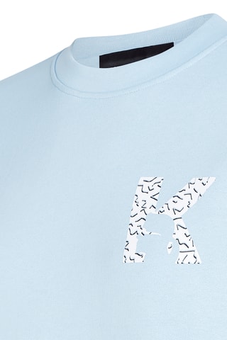 Sweat en coton biologique - Bleu clair