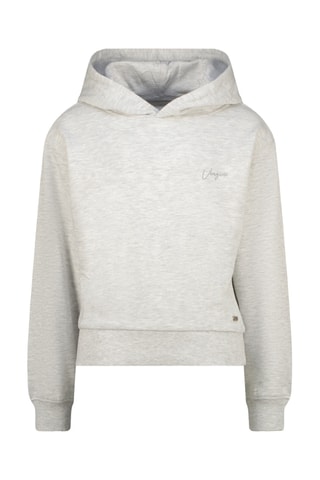 Sweat à capuche Nofa - Gris clair chiné